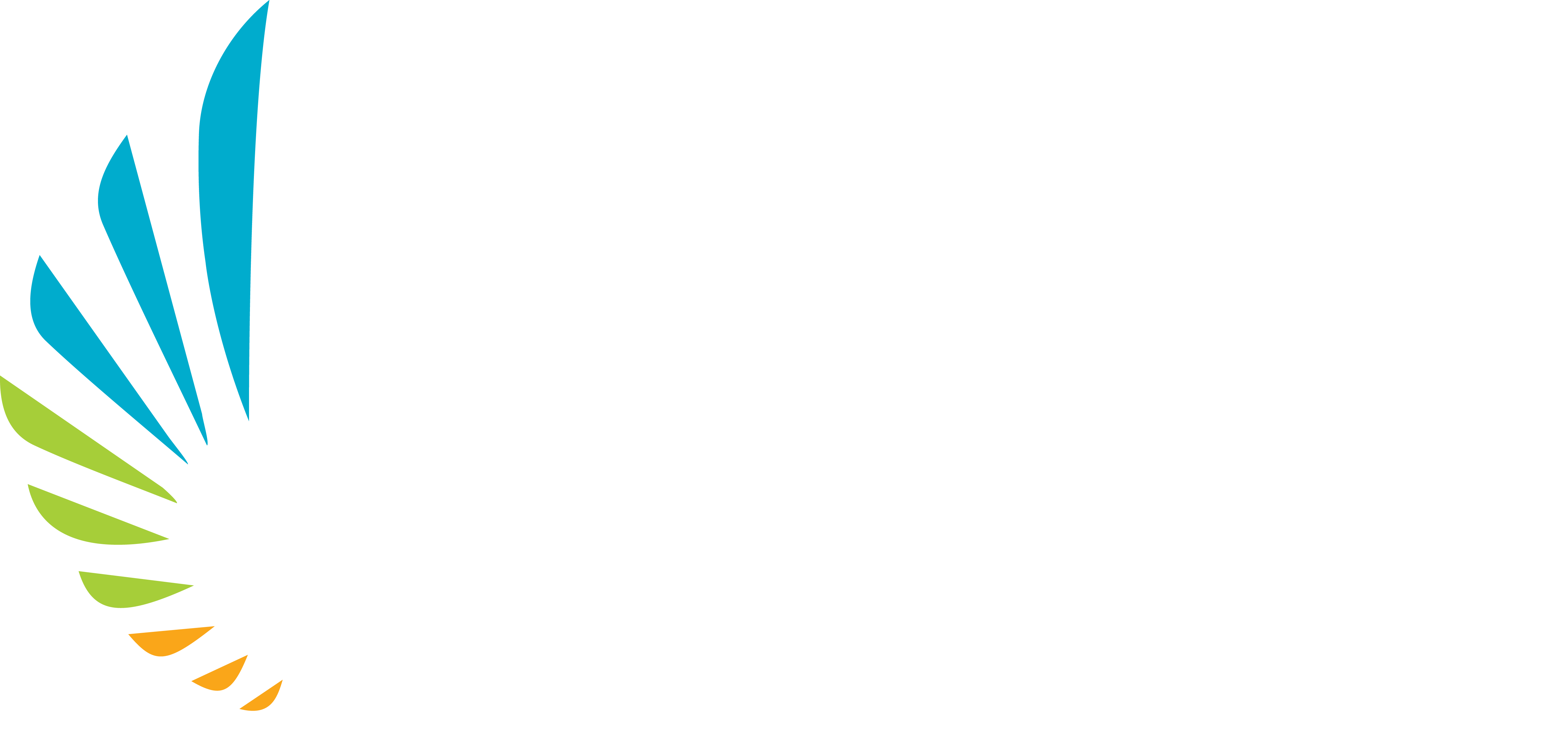 Tac2020